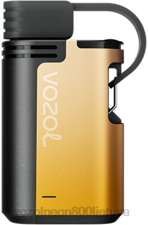 VOZOL Kaina - VOZOL GEAR 4000c/6000 kivi pasifloros gvajava B24DT326