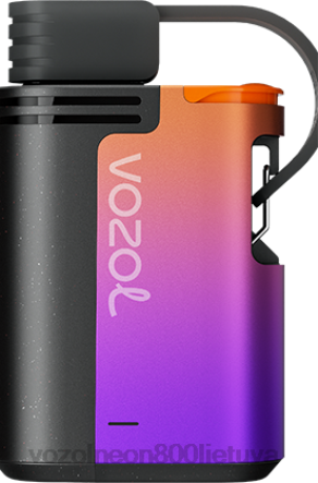 VOZOL Vienkartines - VOZOL GEAR 4000c/6000 miško uogų audra B24DT324
