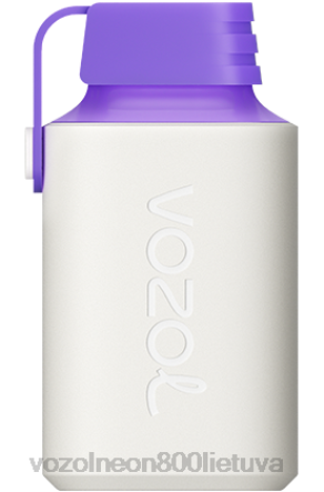 VOZOL Vape Review - VOZOL GEAR 600 miško uogų energija B24DT350