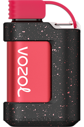 VOZOL Kaina - VOZOL GEAR 7000 ličių gvajavos arbūzas B24DT336