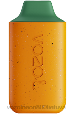 VOZOL Vape Kaina - VOZOL STAR 6000 kivi gvajavos pasifloros vaisius B24DT115