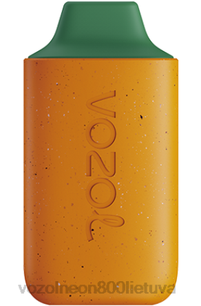 VOZOL Vape Review - VOZOL STAR 6000 mango persikų arbūzas B24DT120