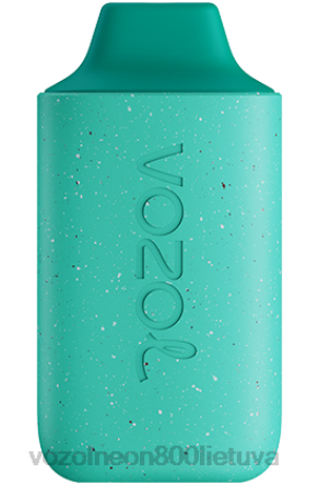 VOZOL Vape Review - VOZOL STAR 6000 vėsios mėtos B24DT110
