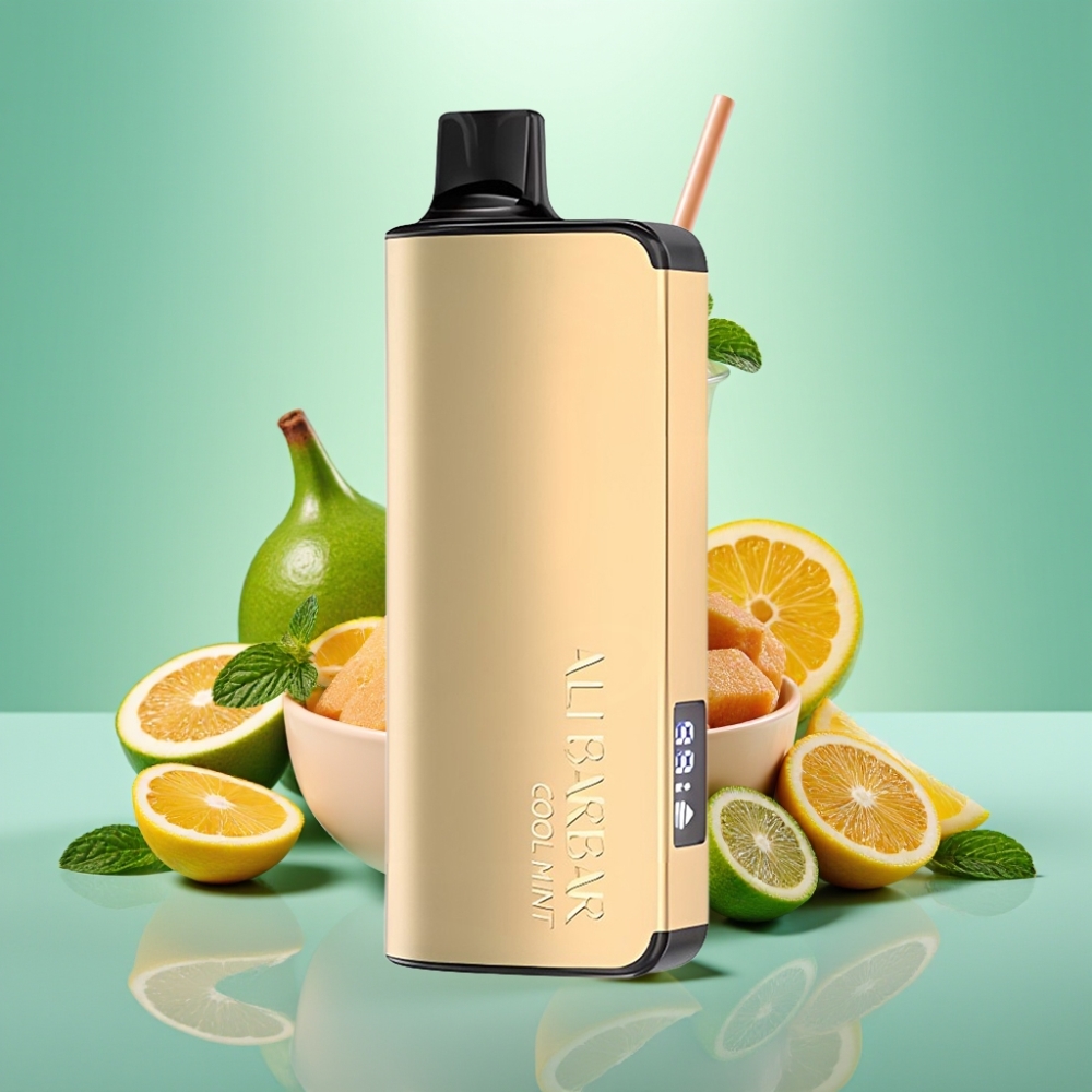 Alibarbar Ingot 9000 Puffs 22ml Šalta Mėta LED