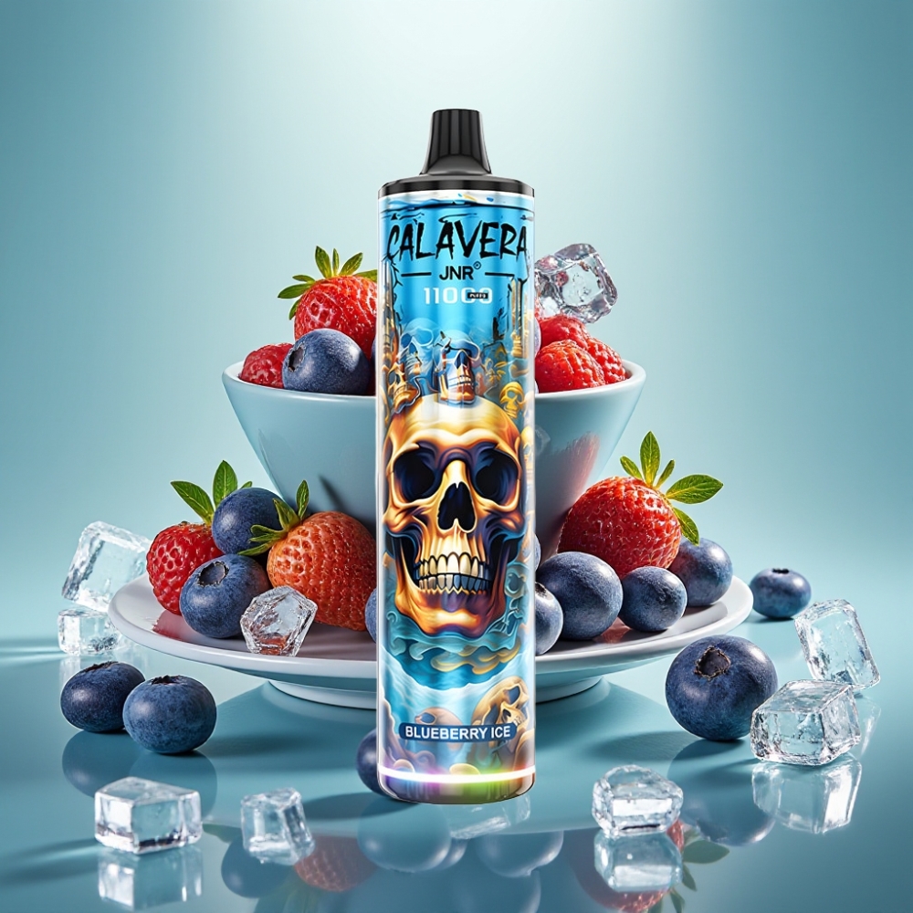JNR Calavera 11000 Puffs Type-C Mėlynųjų Uogų Ledas 21ml