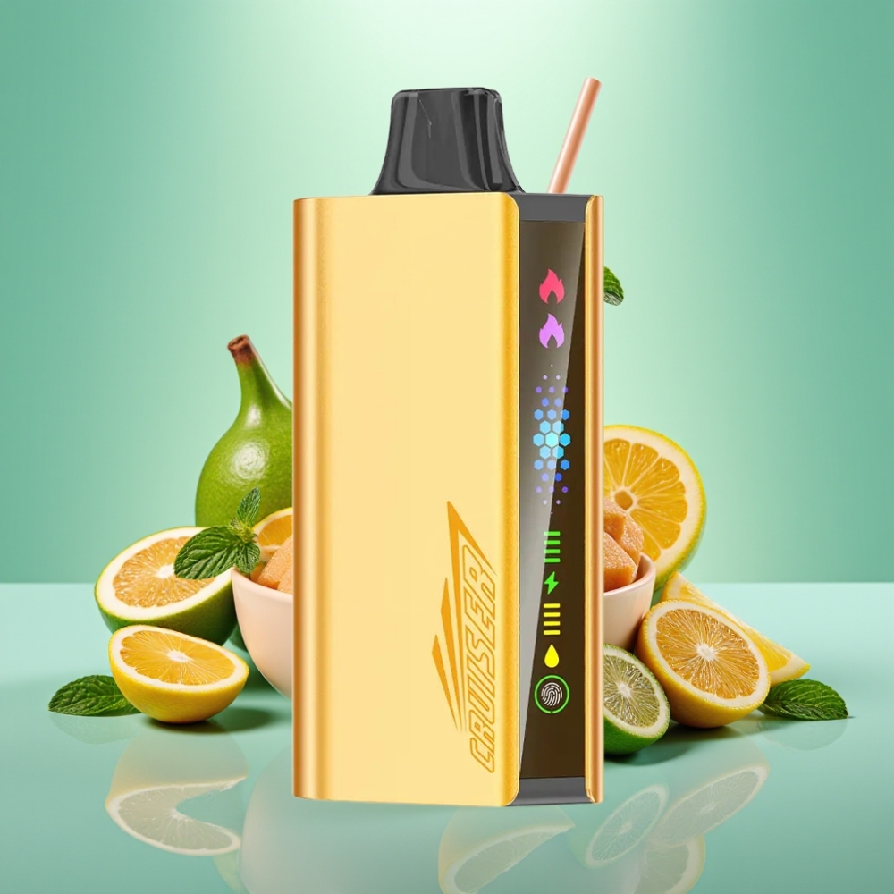 JNR Cruiser 12000 Puffs įkrovimo nereikalaujantis vienkartinis išgarintuvas 3500 mAh, Šalta mėta