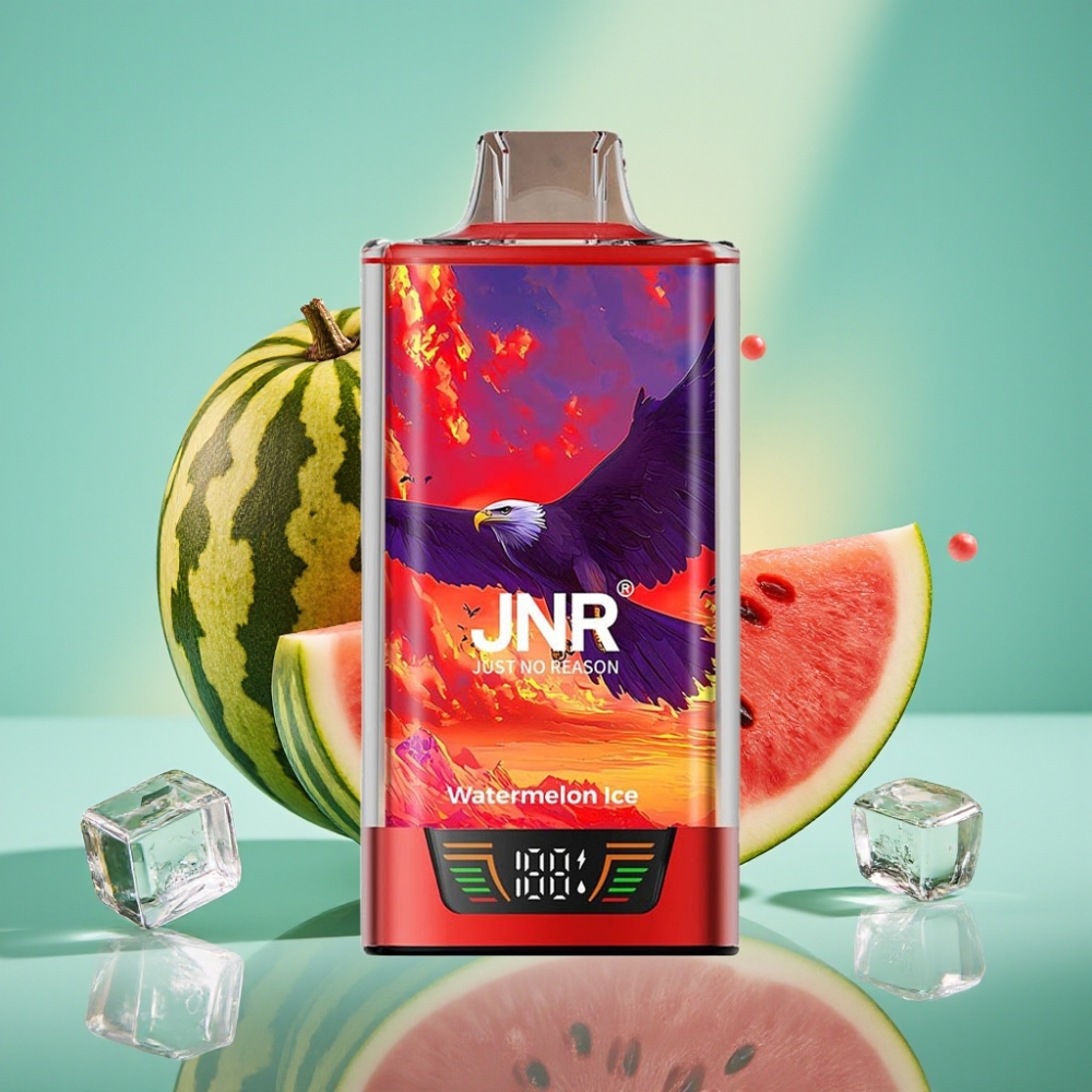 JNR Falcon Pro 28000 30ml 5% Smart Display Arbūsu Ledas