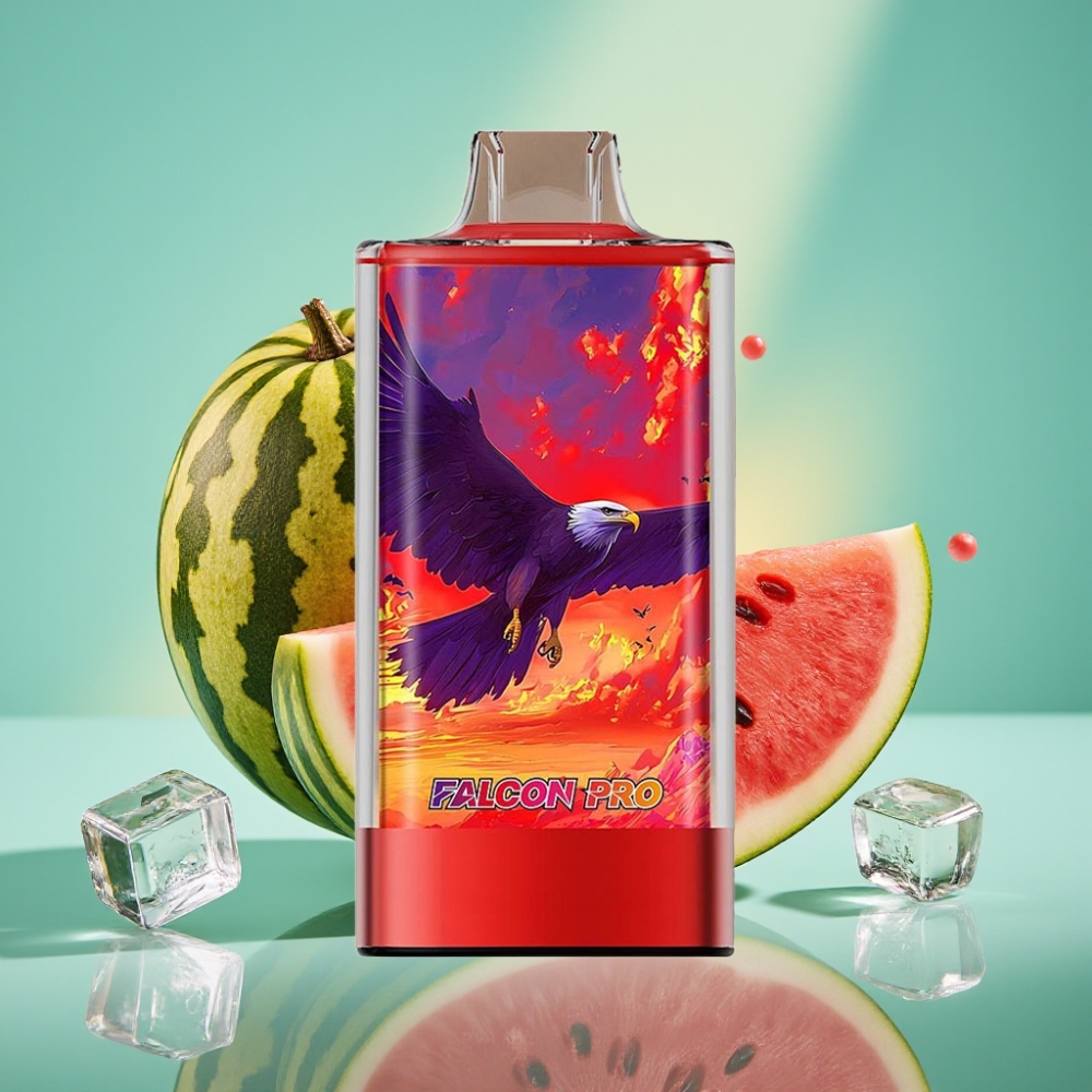 JNR Falcon Pro 28000 30ml 5% Smart Display Arbūsu Ledas