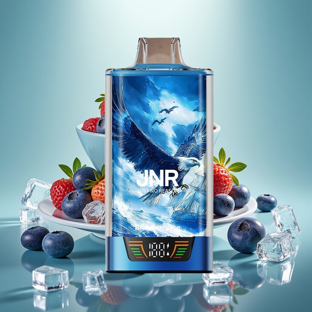 JNR Falcon Pro 28000 Disposable Vape Mėlynių Uogų Ledas 30ml 950mAh