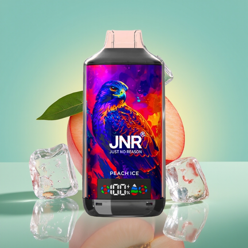 JNR Falcon X 18000 Puffs, 24ml, Persikas su Ledu