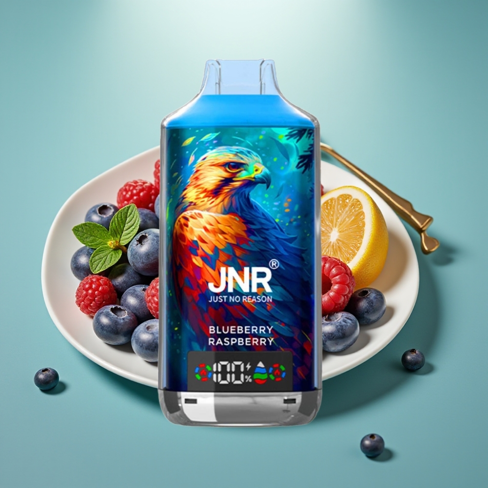 JNR Falcon X 18000 Puffs 750mAh Type-C Mėlynųjų aviečių su avietėmis