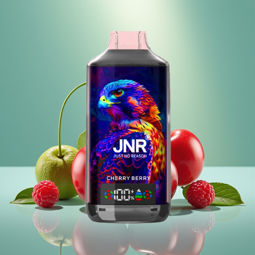 JNR Falcon X 18000 Puffs Dual Mesh Coil 24ml Vyšnių Uogų