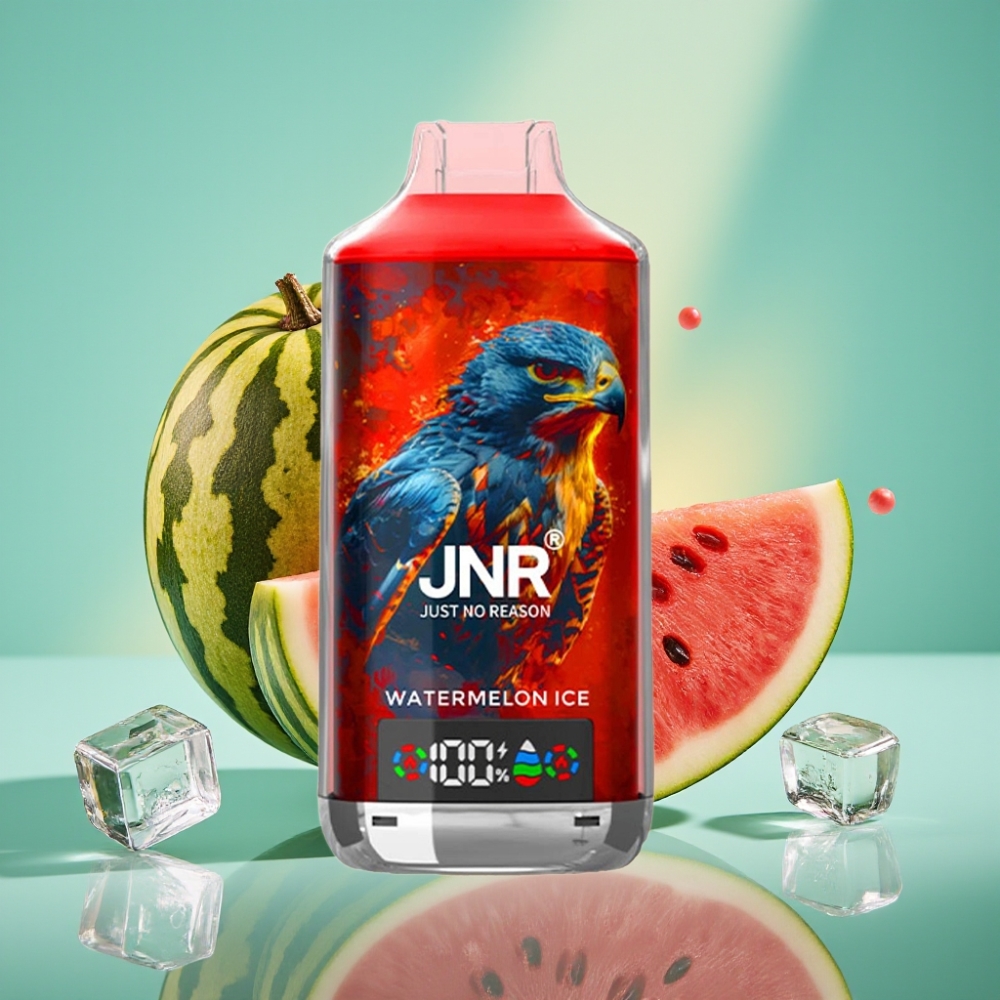 JNR Falcon X 18000 Puffs, Dual Mesh Coil, Arbūzas su Mėtų Skoniu