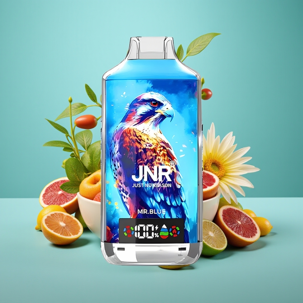 JNR Falcon X 18000 Puffs Dual Mesh Coil Mėlynasis