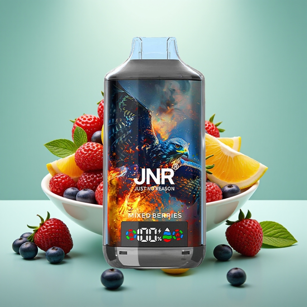 JNR Falcon X 18000 Puffs Dual Mesh Coil Mixinės Uogos 24ml