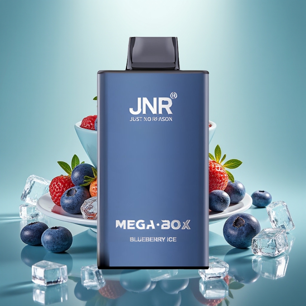 JNR Mega Box 25000 Puffs Disposable Vape 30ml Dviguba Šerdis Mėlynė Su Ledu