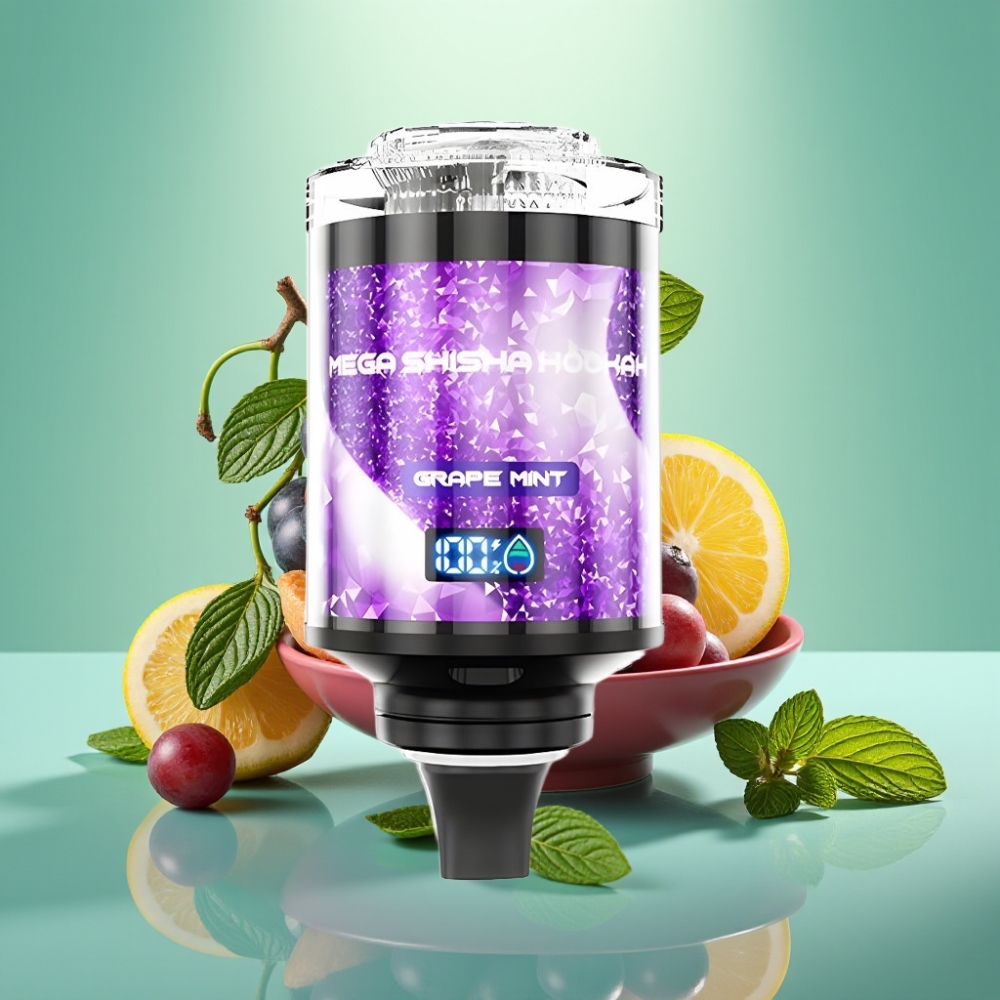 JNR Mega Shisha Hookah 100K Type-C 60ml Vynų Mėta