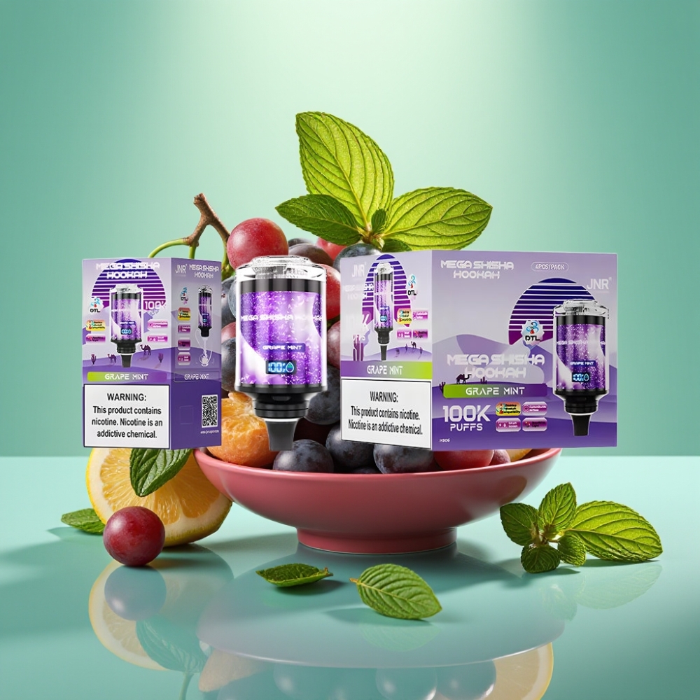 JNR Mega Shisha Hookah 100K Type-C 60ml Vynų Mėta