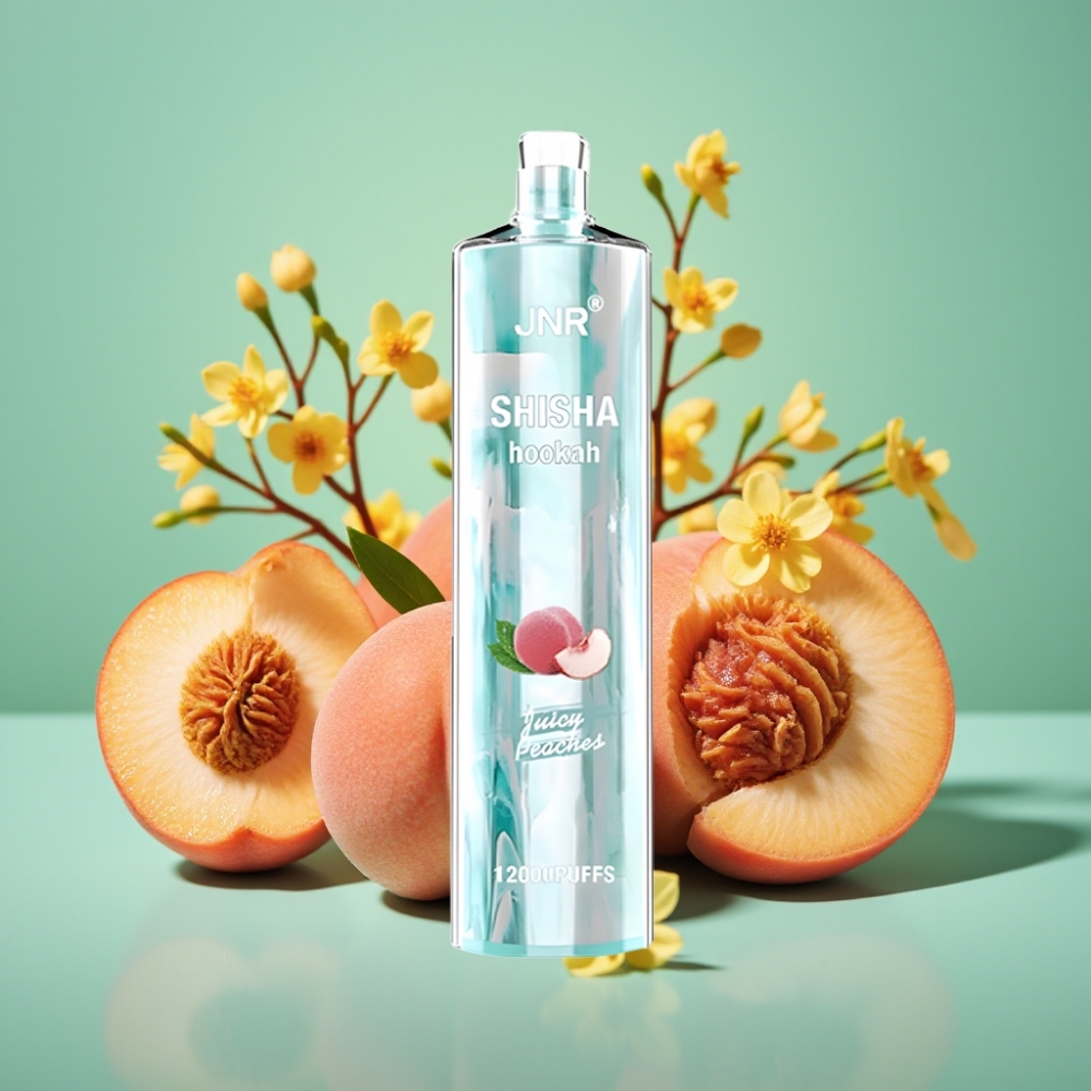 JNR Shisha Hookah 12000 Puffs 24ml 750mAh Sultingos Persikos