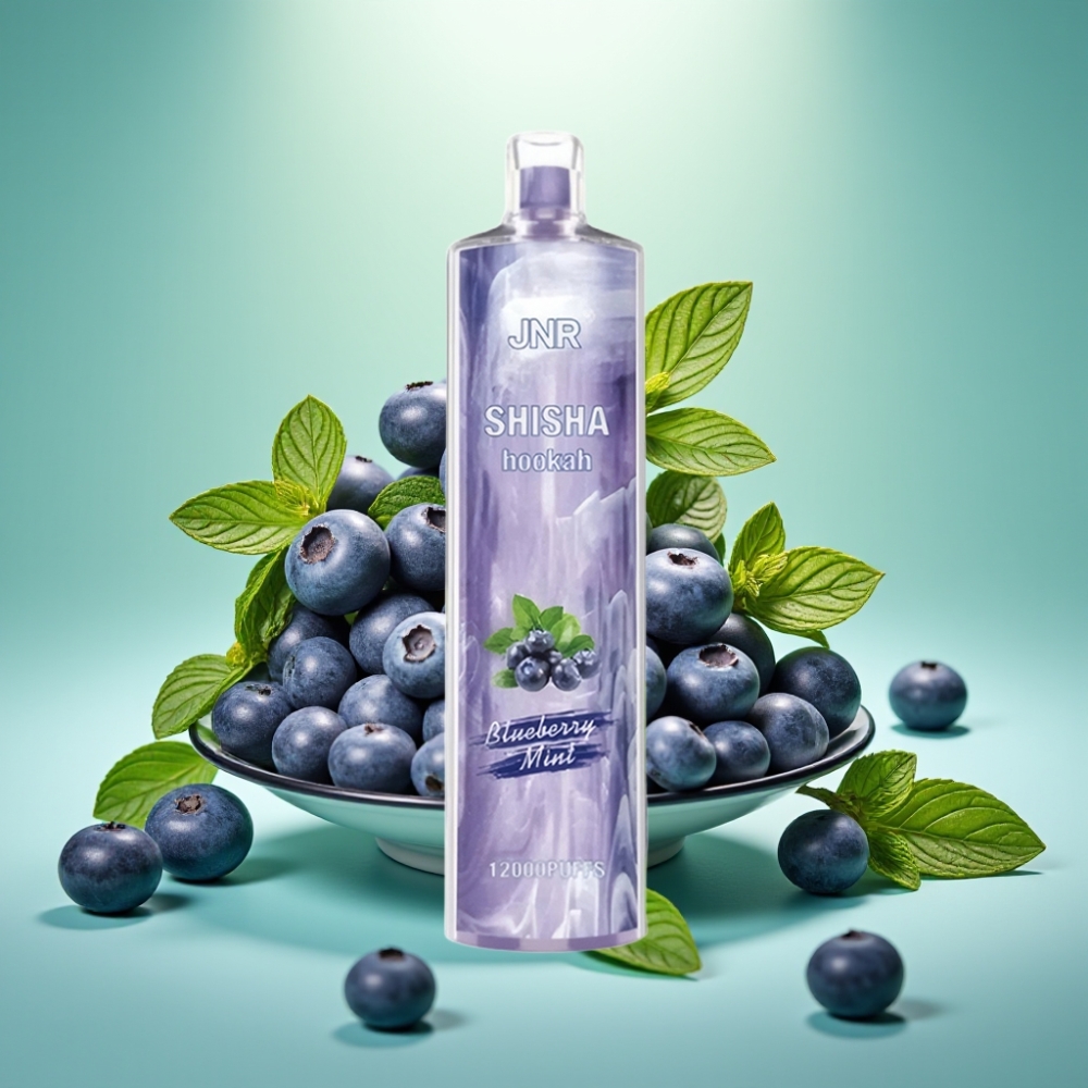 JNR Shisha Hookah 12000 Puffs 750mAh 24ml Mėlynųjų aviečių mėtų