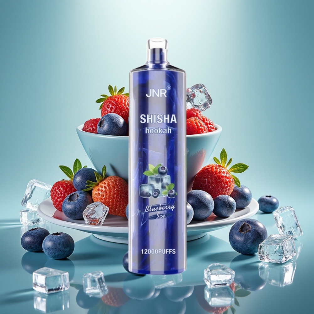 JNR Shisha Hookah 12000 Puffs 750mAh Type-C Mėlynių Uogų Ledas