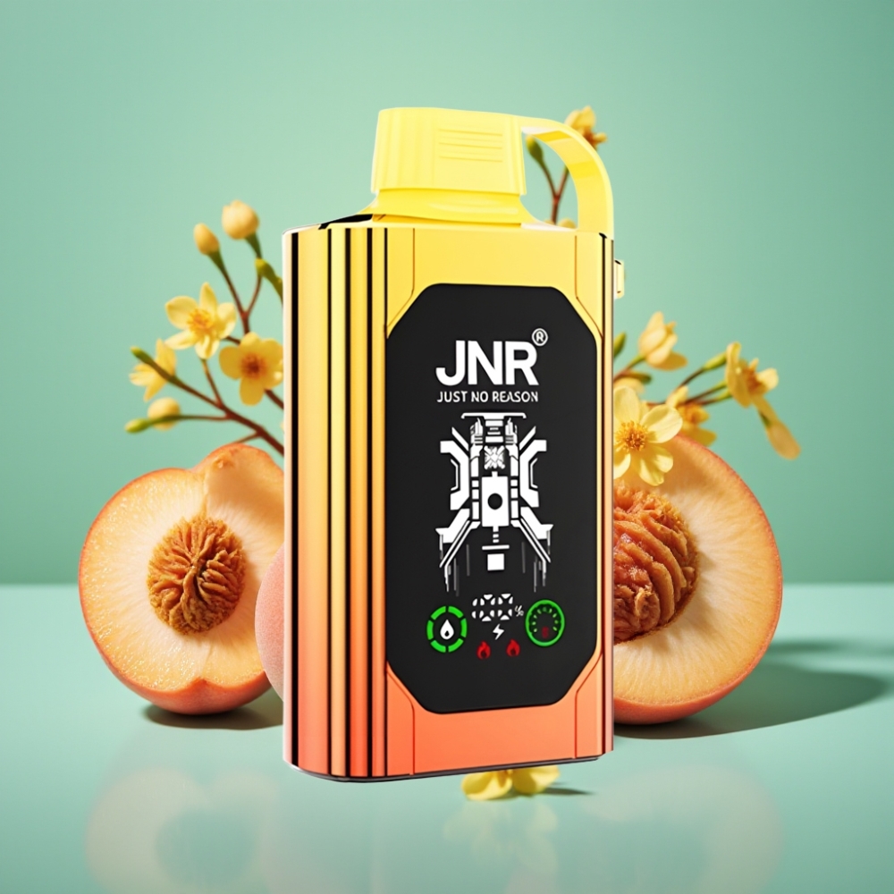 JNR Shisha Hookah Box 20500 Puffs, 1000mAh, Sultūsios Persikų Skonis