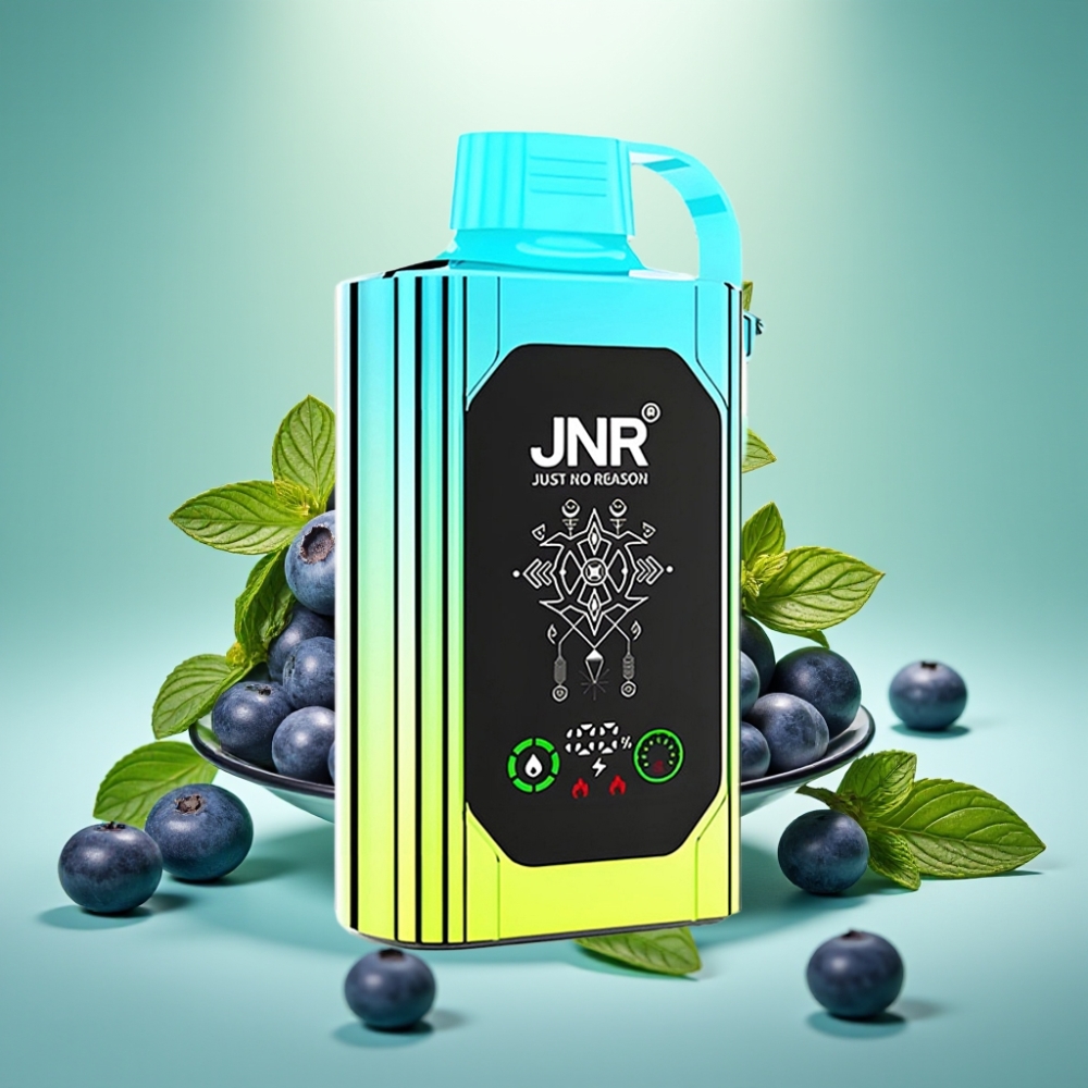 JNR Shisha Hookah Box 20500 Puffs HD Display Mėlynųjų aviečių mėta