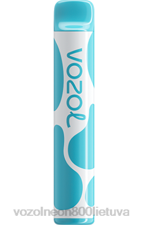 VOZOL Skoniai - VOZOL JOYGO 600 mėlynių rūgščių aviečių B24DT377