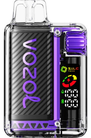 VOZOL Vape Kaina - VOZOL VISTA 16000/20000 braškių mango B24DT15