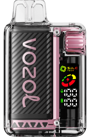 VOZOL Vape Lietuva - VOZOL VISTA 16000/20000 persikų mango arbūzas B24DT12