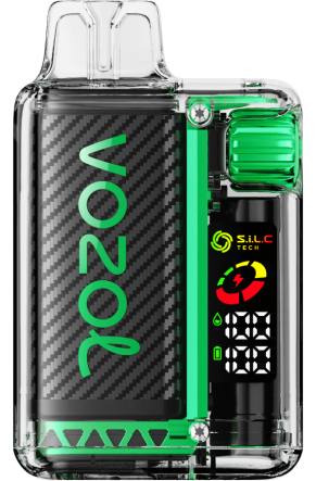 VOZOL Vape Review - VOZOL VISTA 16000/20000 arbūzų ledas B24DT20